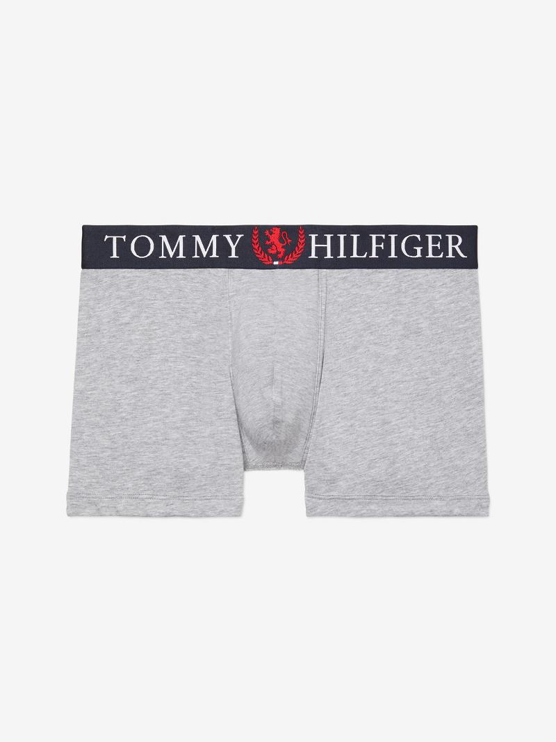 Férfi Tommy Hilfiger Authentic stretch trunk Trunks Szürke | HU 1273FDN